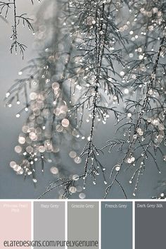 water droplets are hanging from the branches of a tree in front of snow covered trees