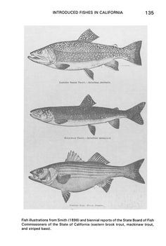 three different types of fish in california, from the earliest to the end of the 19th century