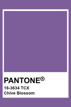 pantone's purple hue is shown in this image