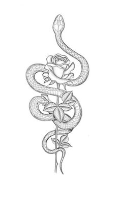 a drawing of a snake with roses on it's back and the end of its tail