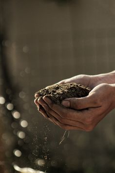 two hands holding dirt and soil in their palms