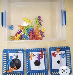 three plastic trays filled with different types of magnets