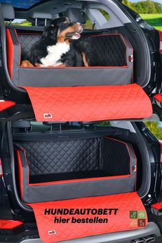 a dog sitting in the back seat of a car