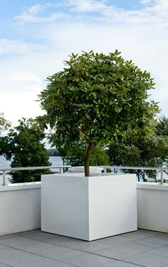 a white planter sitting on top of a cement floor next to a large tree