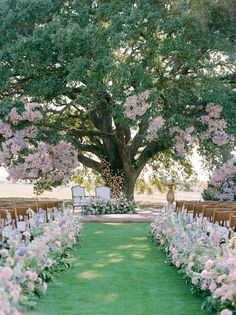 an outdoor ceremony set up with chairs and flowers on the grass under a large tree