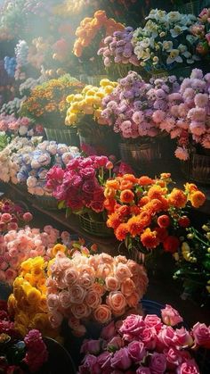 many different colored flowers in baskets on display