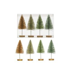 six small trees in different colors and sizes, each with a gold rimmed base