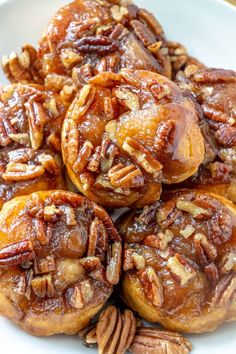 pecan pies on a white plate with pecans in the middle and pecans scattered around them