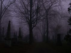 a cemetery with trees and tombstones in the fog