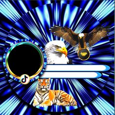 an eagle and a tiger sitting on top of each other in front of a blue background