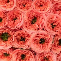 a bunch of pink flowers that are in the middle of some kind of flower arrangement