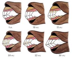 four different stages of brushing the teeth with toothpaste on them, and showing how to brush their teeth