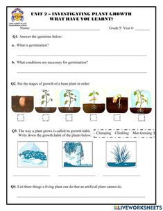 an image of plant growth worksheet with pictures and words on it to help students learn