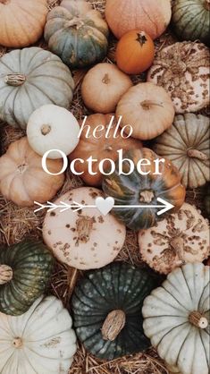 pumpkins and gourds with the words hello october in white overlaying them