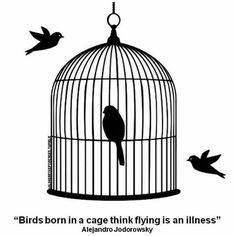 a bird in a cage with the caption birds born in a cage think flying is an allness