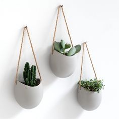 three hanging planters with succulents and plants in them on a white wall