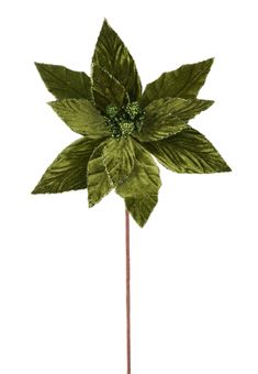 Moss green velvet poinsettia stem - Greenery MarketXS4087A1 Olive Green Christmas, Realistic Artificial Christmas Trees, Christmas Stem, Flower Picks, Christmas Picks, Holiday Arrangement, Floral Picks, Halloween Ribbon, Line Flower