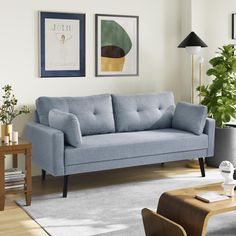 a living room scene with focus on the couch