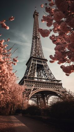 the eiffel tower is surrounded by cherry blossoms