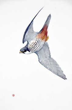 a bird flying through the air with it's wings spread