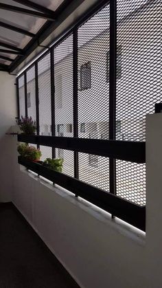 a window with some plants on the ledge