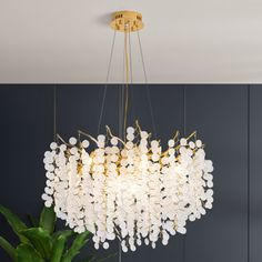 a large chandelier hanging from the ceiling over a table with a potted plant