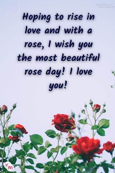 roses with the words, hoping to rise in love and with a rose i wish you the most beautiful rose day i love you