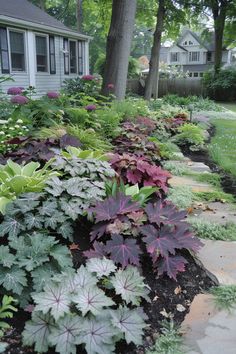 a garden filled with lots of plants next to a house