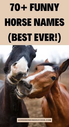 two horses that are next to each other with the words funny horse names best ever