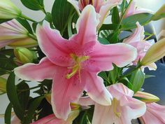 pink flowers are in a vase with green leaves