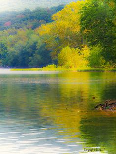 an image of a lake in the middle of the day with trees and water around it