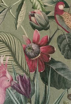 a drawing of flowers and birds on a green background with palm leaves, ferns, and other tropical plants