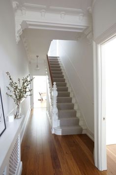 an empty hallway with stairs leading up to the second floor and potted plant on the far side