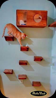 an orange cat climbing up the side of a wooden shelf with several shelves on it