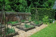 an outdoor garden area with various plants and rocks in the ground, surrounded by greenery