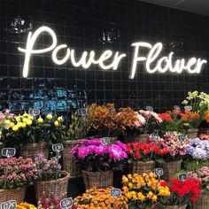 baskets filled with colorful flowers sitting in front of a sign that says power flower shop