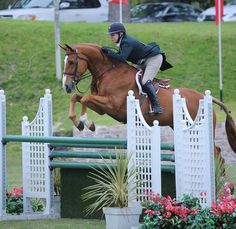 a person jumping a horse over an obstacle