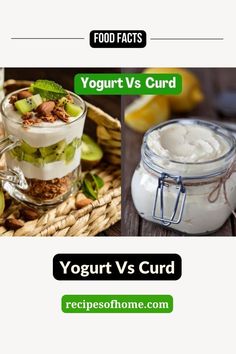 What is the difference between yogurt and curd Sour Cream Substitute, Yogurt Benefits, Cooking Dishes, Sauce For Chicken, Healthy Bones, What Is The Difference Between, Food Facts, Pork Dishes, Indian Dishes