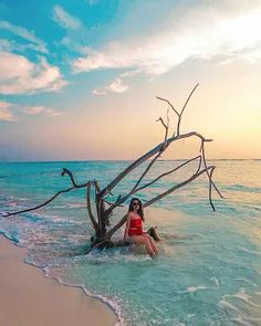 a woman sitting in the ocean next to a dead tree