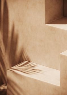 the shadow of a plant is cast on the wall next to some concrete steps in sepia