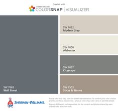 the color scheme for colorsnap visualizer, which is available in several different colors