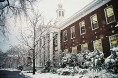 snow covered trees and bushes in front of a building with a clock tower on top