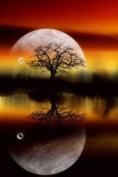 a full moon is reflected in the water with a tree on it's side