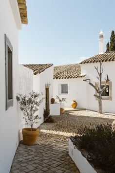 an alley way with potted plants and white buildings