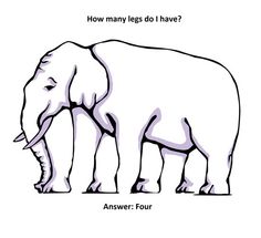 an elephant with the words how many legs to have?