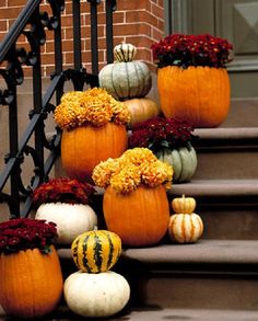 pumpkins and gourds are sitting on the steps