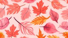 watercolor leaves on white background with oranges and pinks in the fall colors