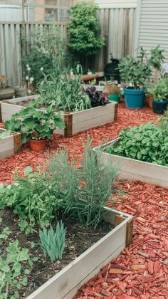 a garden filled with lots of different types of flowers and plants in wooden boxes on the ground