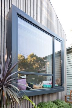 a window that is next to a plant in the grass and on the side of a building