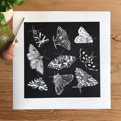 a black and white drawing of butterflies on a piece of paper next to a potted plant